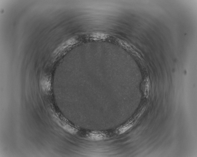 X0000085040608200703191235