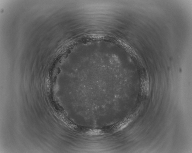 X0000085040609200703191235