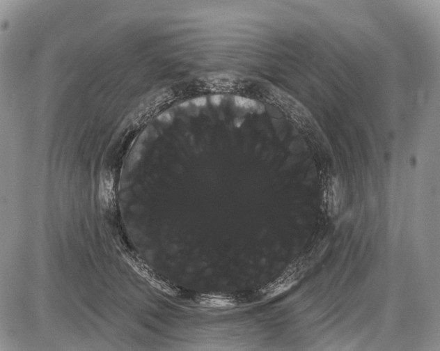 X0000085040610200703191235