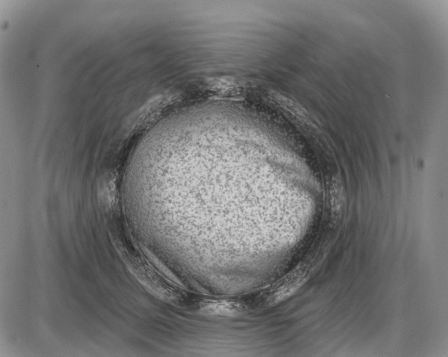 X0000085040611200703191235