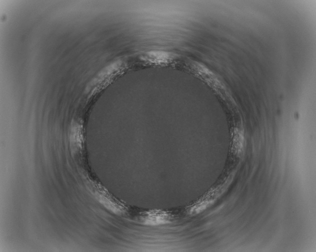 X0000085040612200703191235