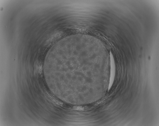 X0000085040613200703191235