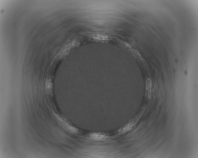 X0000085040614200703191235