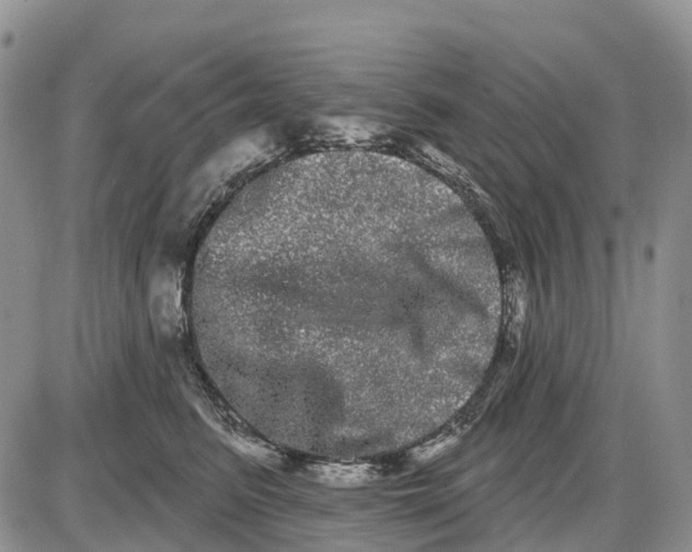 X0000085040615200703191235