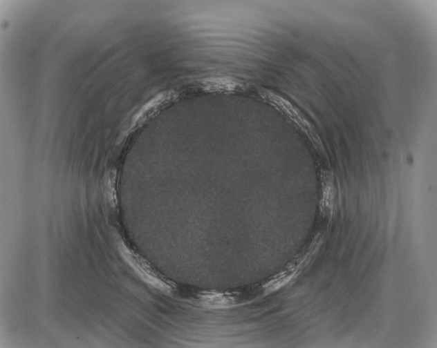 X0000085040616200703191235