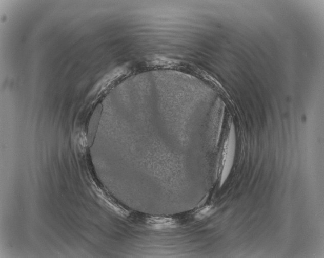 X0000085040617200703191235