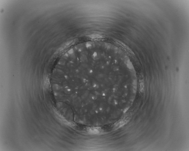 X0000085040618200703191235