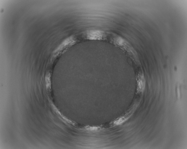 X0000085040620200703191235