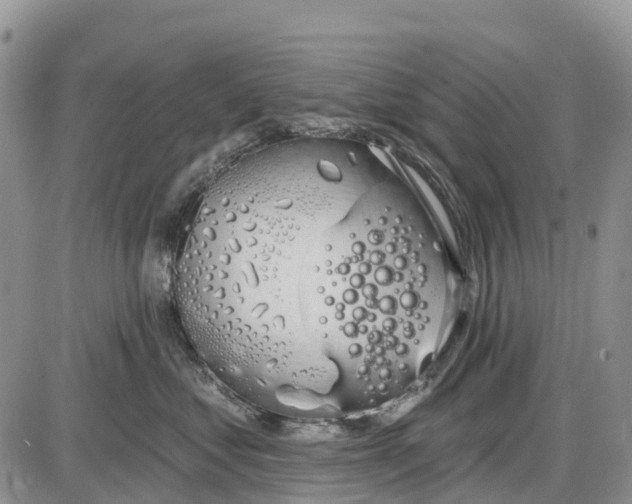 X0000085040621200703191235