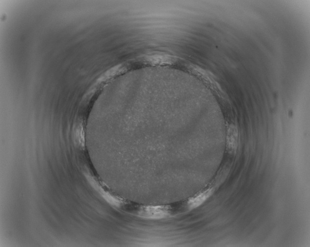 X0000085040622200703191235