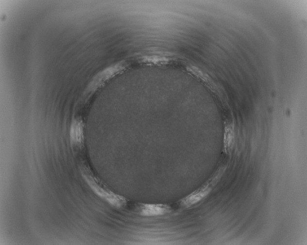 X0000085040623200703191234