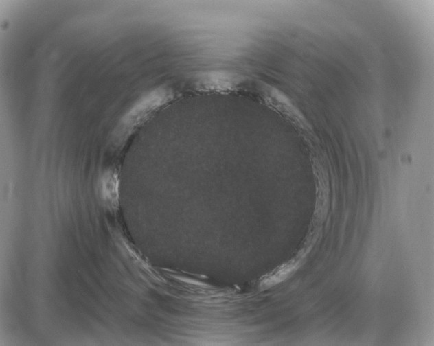 X0000085040624200703191234