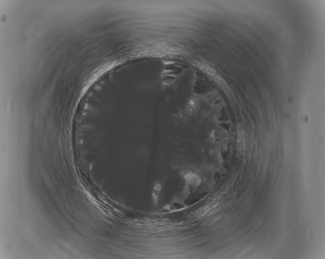 X0000085040626200703191234