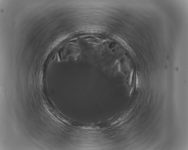 X0000085040627200703191234