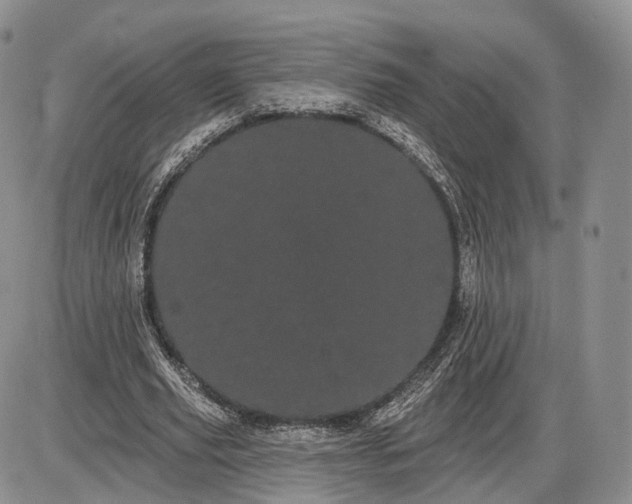 X0000085040629200703191234