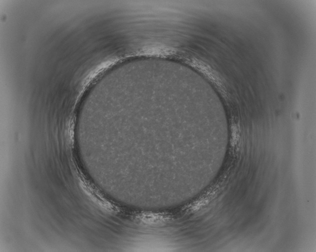 X0000085040632200703191234