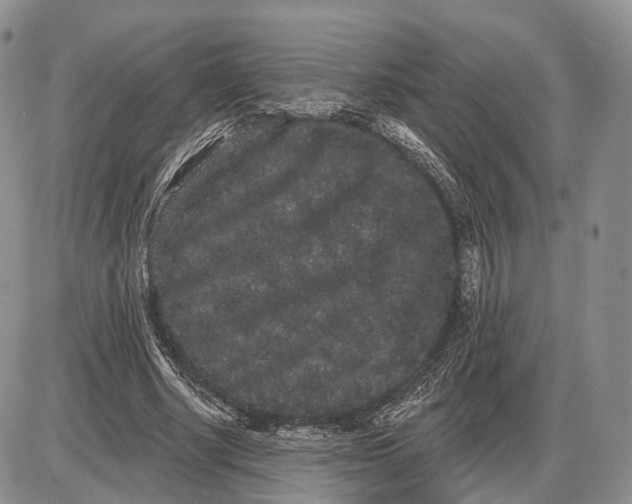 X0000085040634200703191234