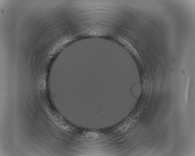 X0000085040635200703191234