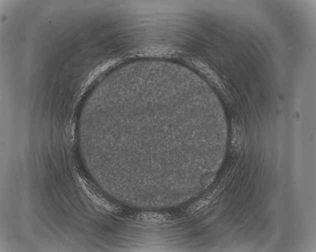 X0000085040636200703191234