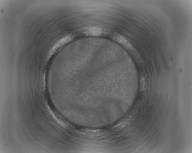 X0000085040638200703191234