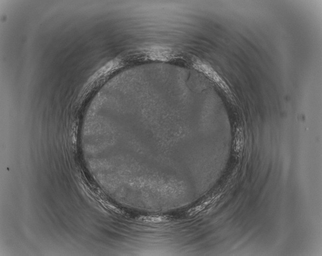 X0000085040639200703191234