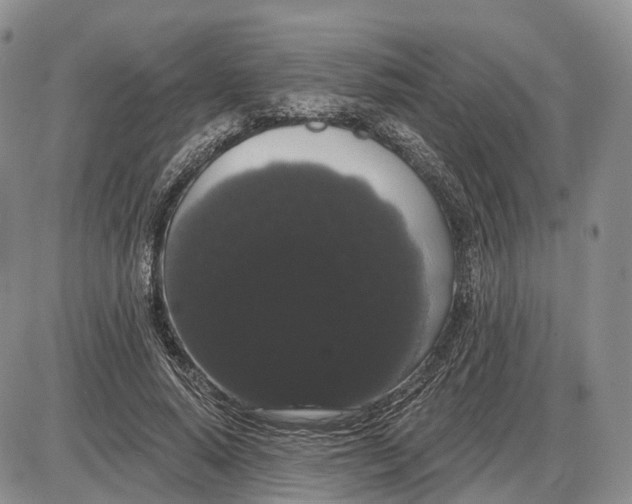 X0000085040640200703191234