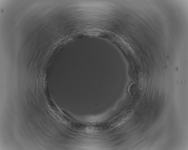 X0000085040641200703191234