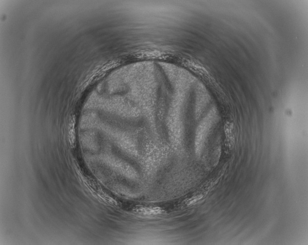 X0000085040642200703191234