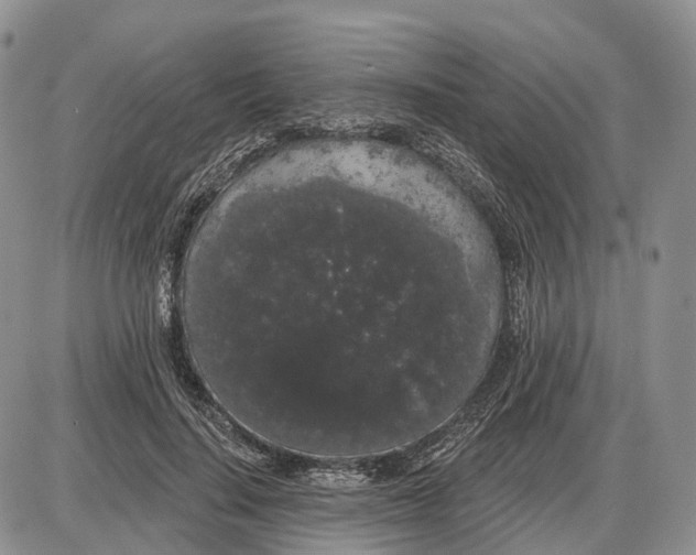 X0000085040644200703191234