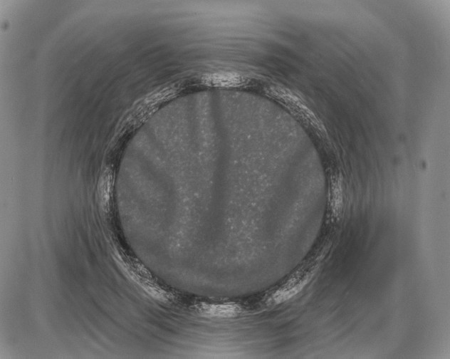 X0000085040645200703191234