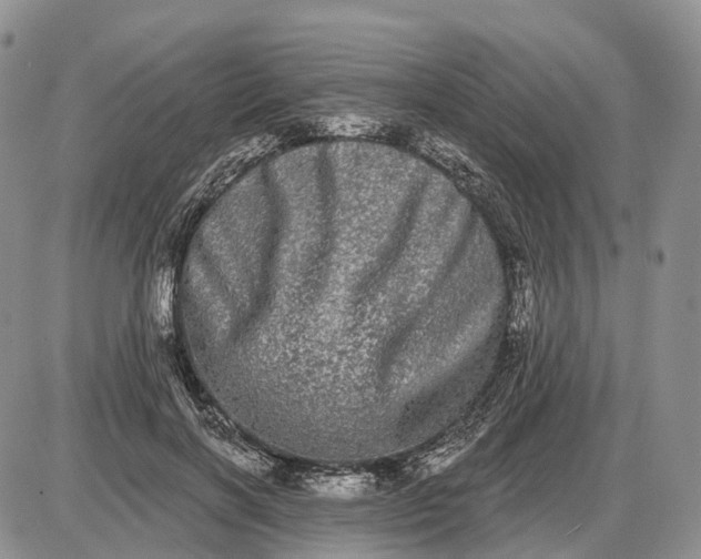 X0000085040646200703191234