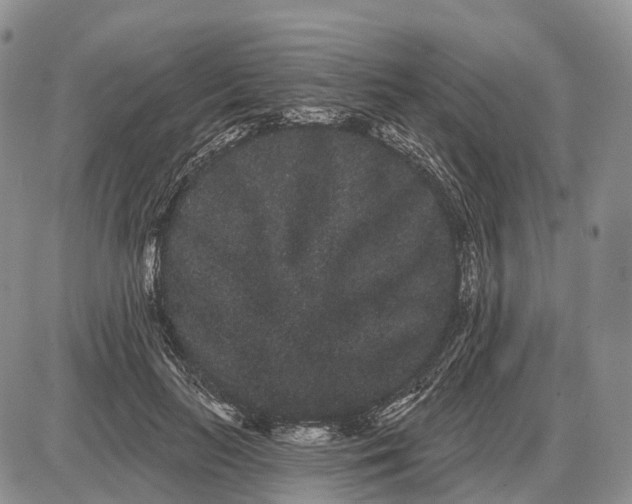 X0000085040647200703191234