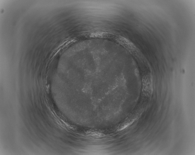 X0000085040648200703191234