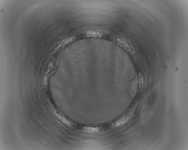 X0000085040649200703191234