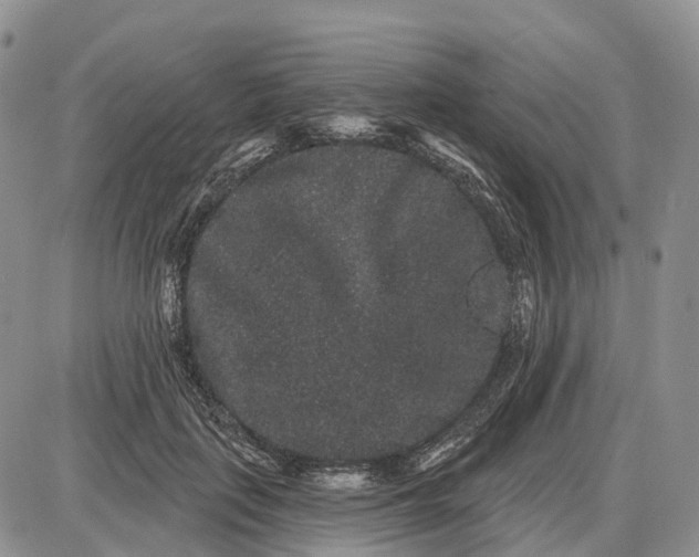 X0000085040651200703191234