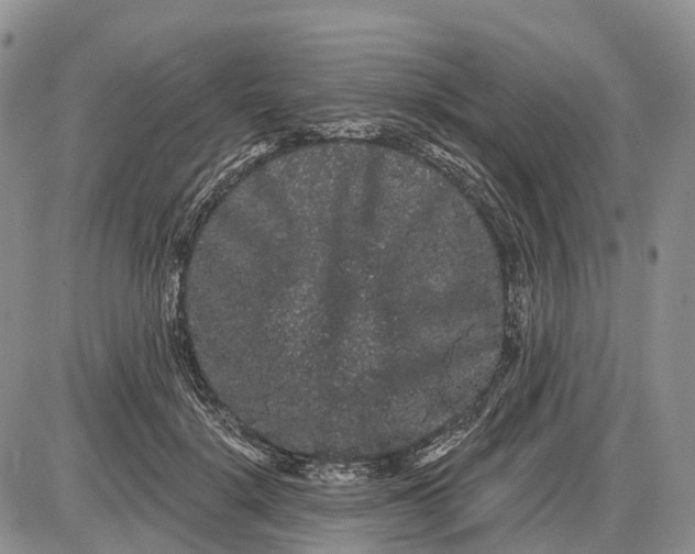 X0000085040652200703191234