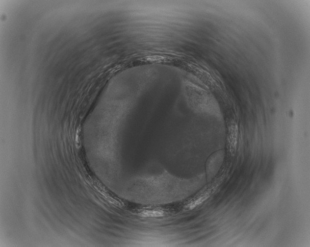 X0000085040653200703191234