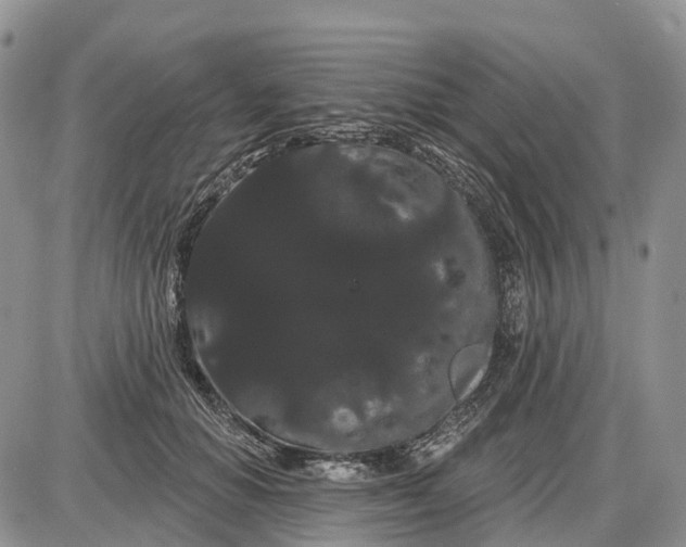 X0000085040654200703191234