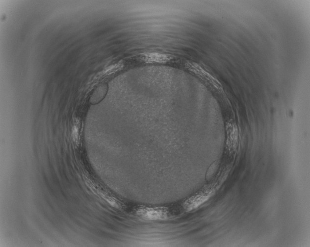 X0000085040655200703191234