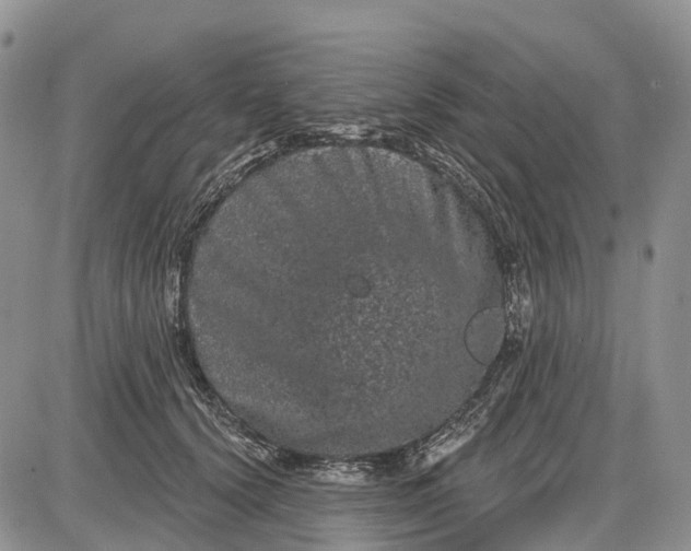 X0000085040656200703191234