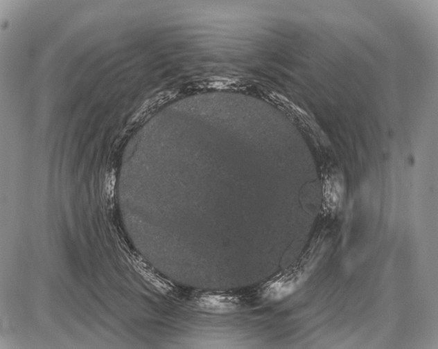 X0000085040657200703191234