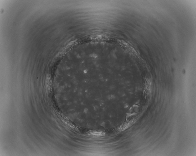 X0000085040659200703191234