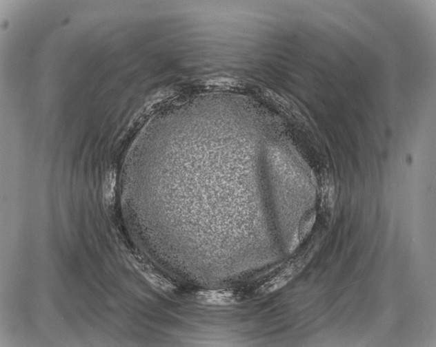 X0000085040660200703191234