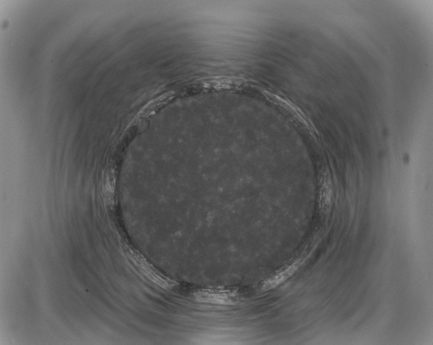 X0000085040661200703191234