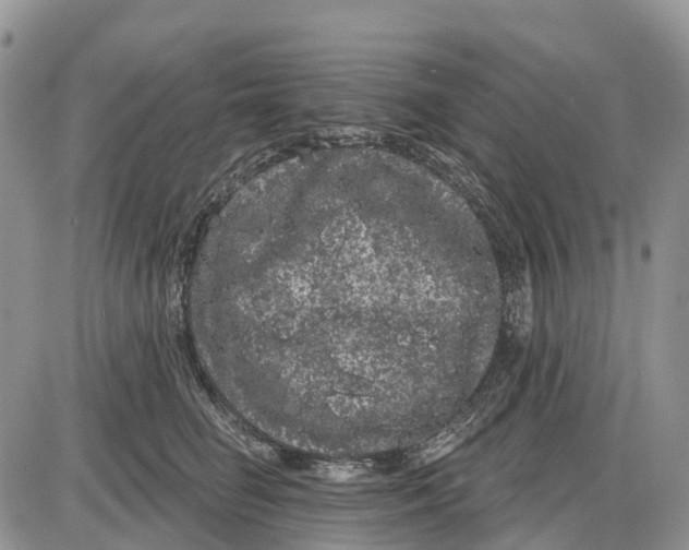 X0000085040662200703191234