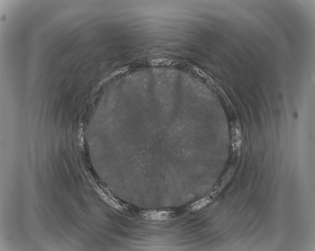 X0000085040664200703191234