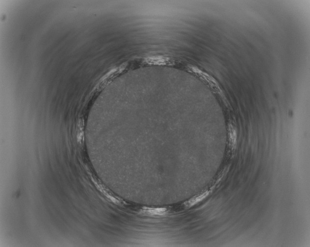 X0000085040665200703191234