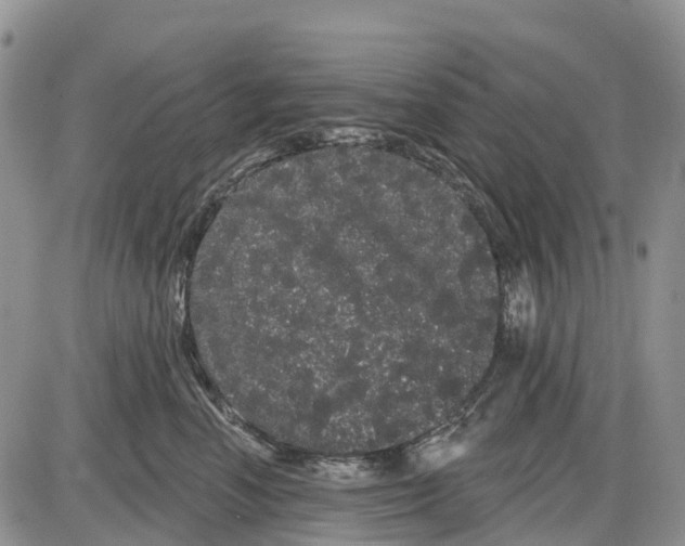 X0000085040666200703191234