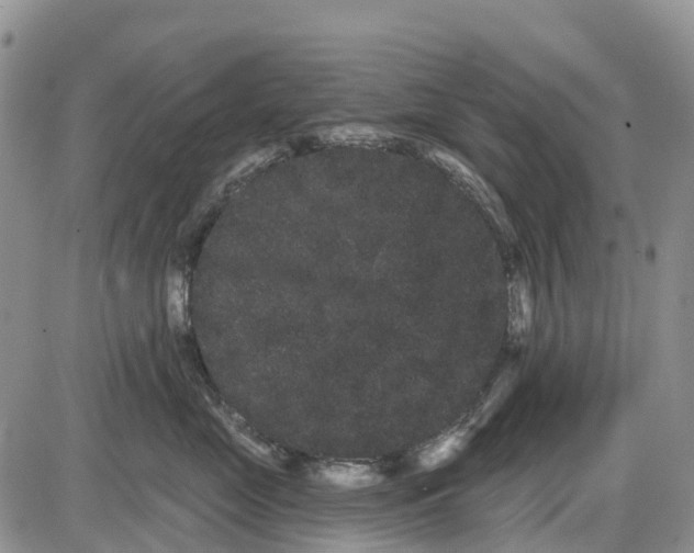 X0000085040669200703191234