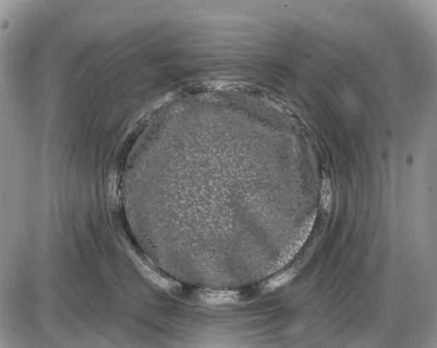 X0000085040670200703191234